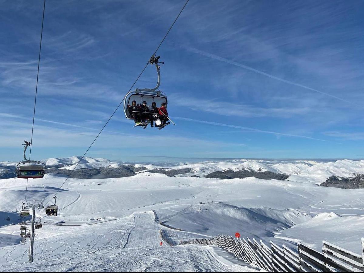 Mountain View Sinaia