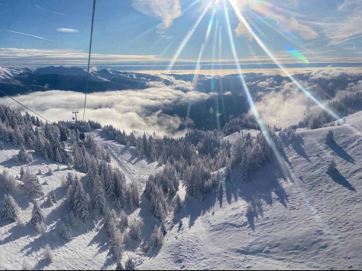 Mountain View Apartment Sinaia