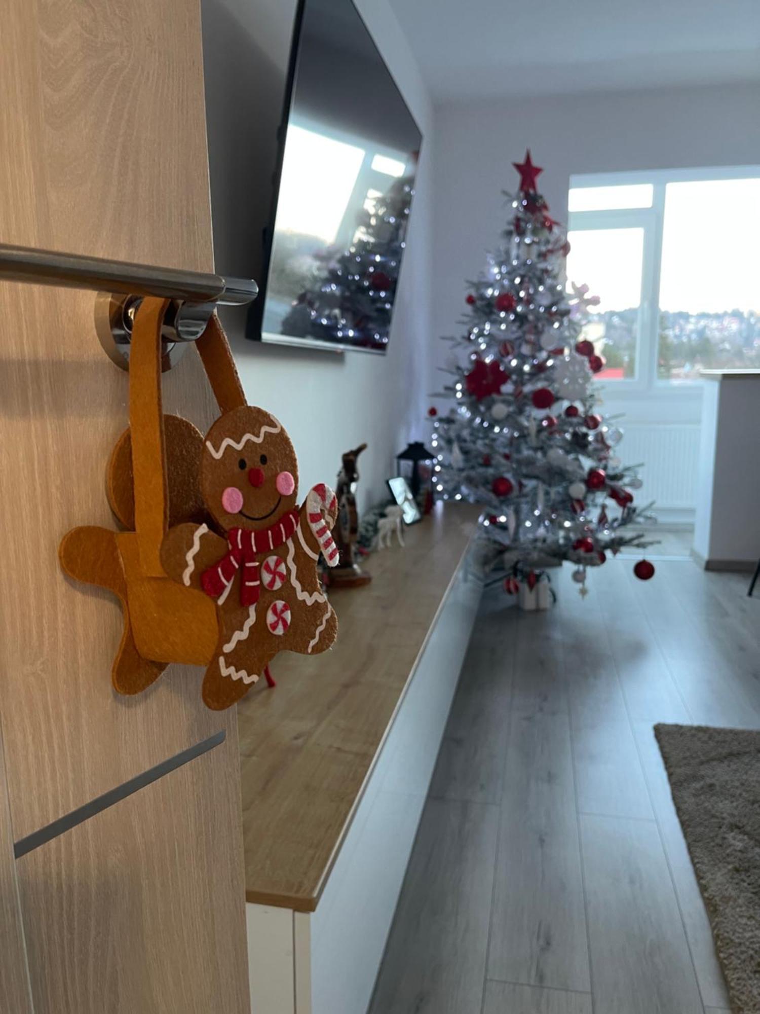 Mountain View Apartment Sinaia
